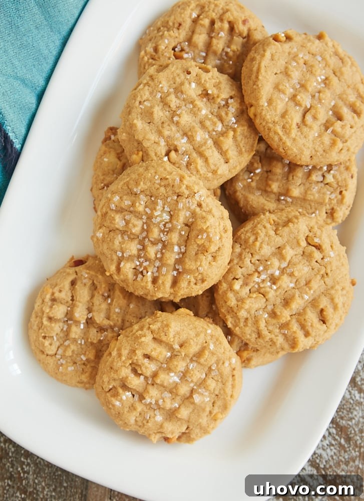 Cream Cheese Peanut Butter Cookies scattered on a white baking tray, perfectly golden brown and ready to enjoy.