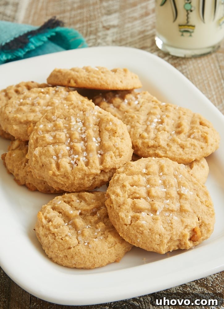 A close-up shot of a single Cream Cheese Peanut Butter Cookie, showcasing its texture and the iconic fork marks.
