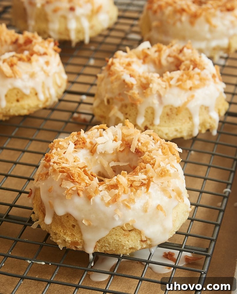 Toasted Coconut Cake Doughnuts