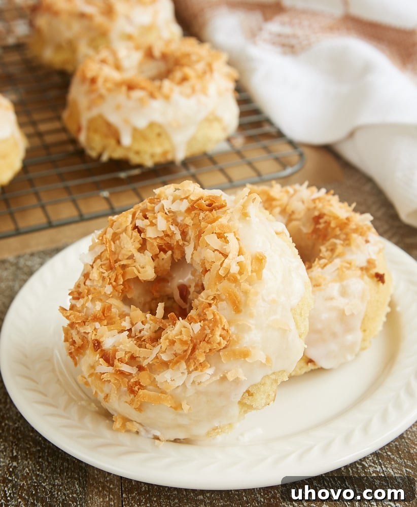 Toasted Coconut Cake Doughnuts served on a plate
