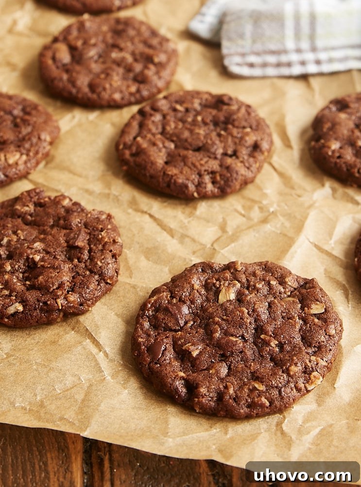 Delicious Chocolate Oatmeal Biscoff Cookies freshly baked on parchment paper, ready to be enjoyed.