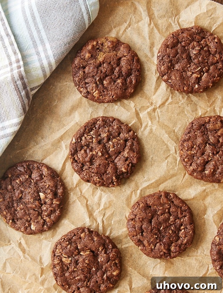 An overhead view of freshly baked Chocolate Oatmeal Biscoff Cookies arranged appealingly on parchment paper.