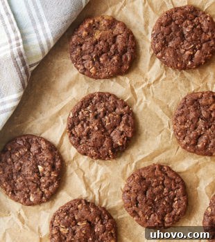 Plenty of chocolate and a hint of spice make these Chocolate Oatmeal Biscoff Cookies irresistible! - Bake or Break
