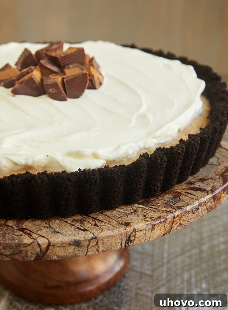 Delicious Peanut Butter Pudding Pie on a brown marble pedestal, ready to be served.