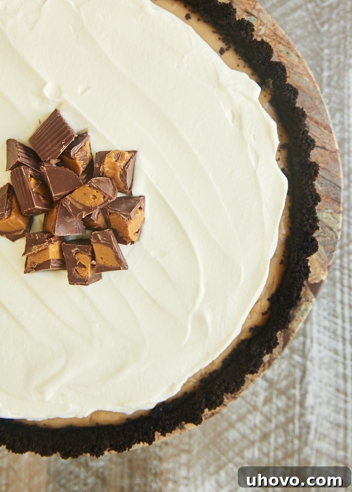 Homemade pudding, a chocolate cookie crust, and plenty of whipped cream combine to make this Peanut Butter Pudding Pie a favorite! - Bake or Break