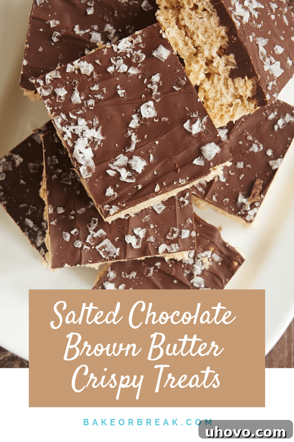 Salted Chocolate Brown Butter Crispy Treats recipe by Bake or Break, a delicious no-bake dessert.