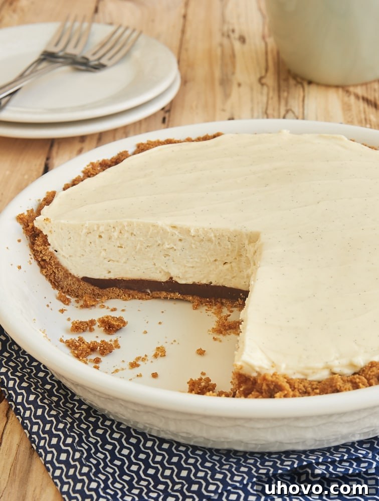 Indulgent No-Bake Black Bottom Vanilla Bean Cheesecake, beautifully sliced to reveal a rich chocolate layer and creamy vanilla filling, presented in a white pie plate