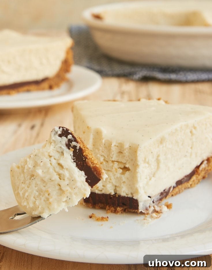 slice of Black Bottom Vanilla Bean Cheesecake