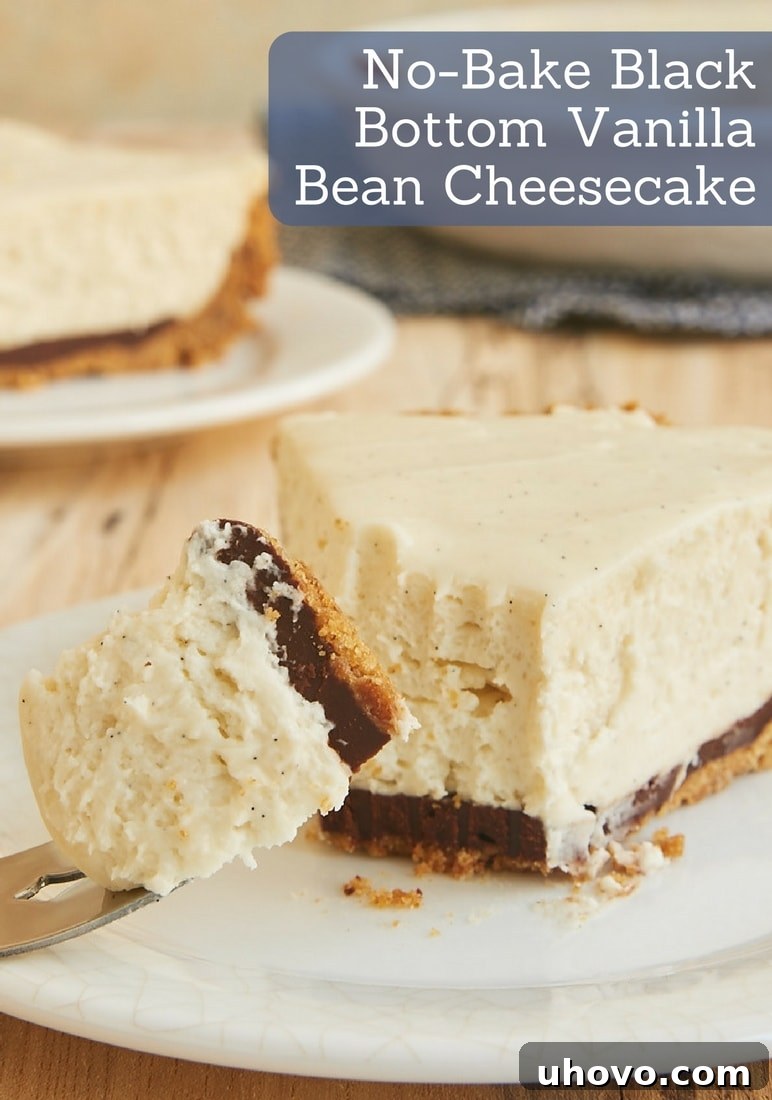 No-Bake Black Bottom Vanilla Bean Cheesecake - full view