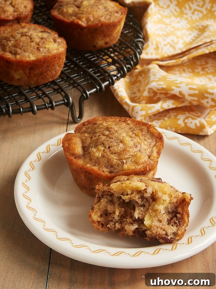 A single Pineapple Coconut Banana Nut Muffin on a white plate with a yellow rim, showing its golden crust and inviting texture.
