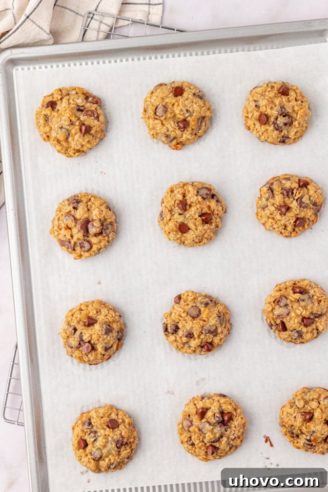 Overhead view of freshly baked brown sugar oatmeal chocolate chip cookies, golden brown at the edges, cooling on a parchment-lined baking sheet.