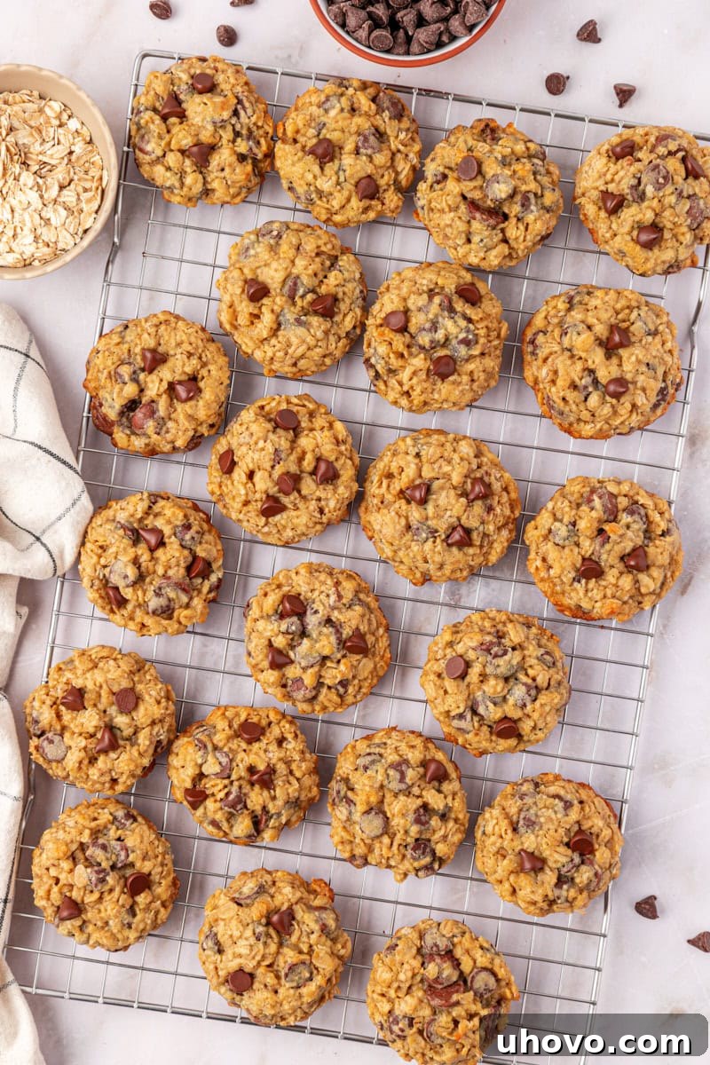 Overhead view of delicious brown sugar oatmeal chocolate chip cookies cooling on a wire rack, showcasing their perfectly golden edges and soft centers.
