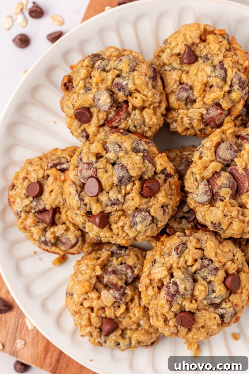 Overhead view of several soft and chewy brown sugar oatmeal chocolate chip cookies neatly arranged on a white plate, highlighting their appetizing appearance.