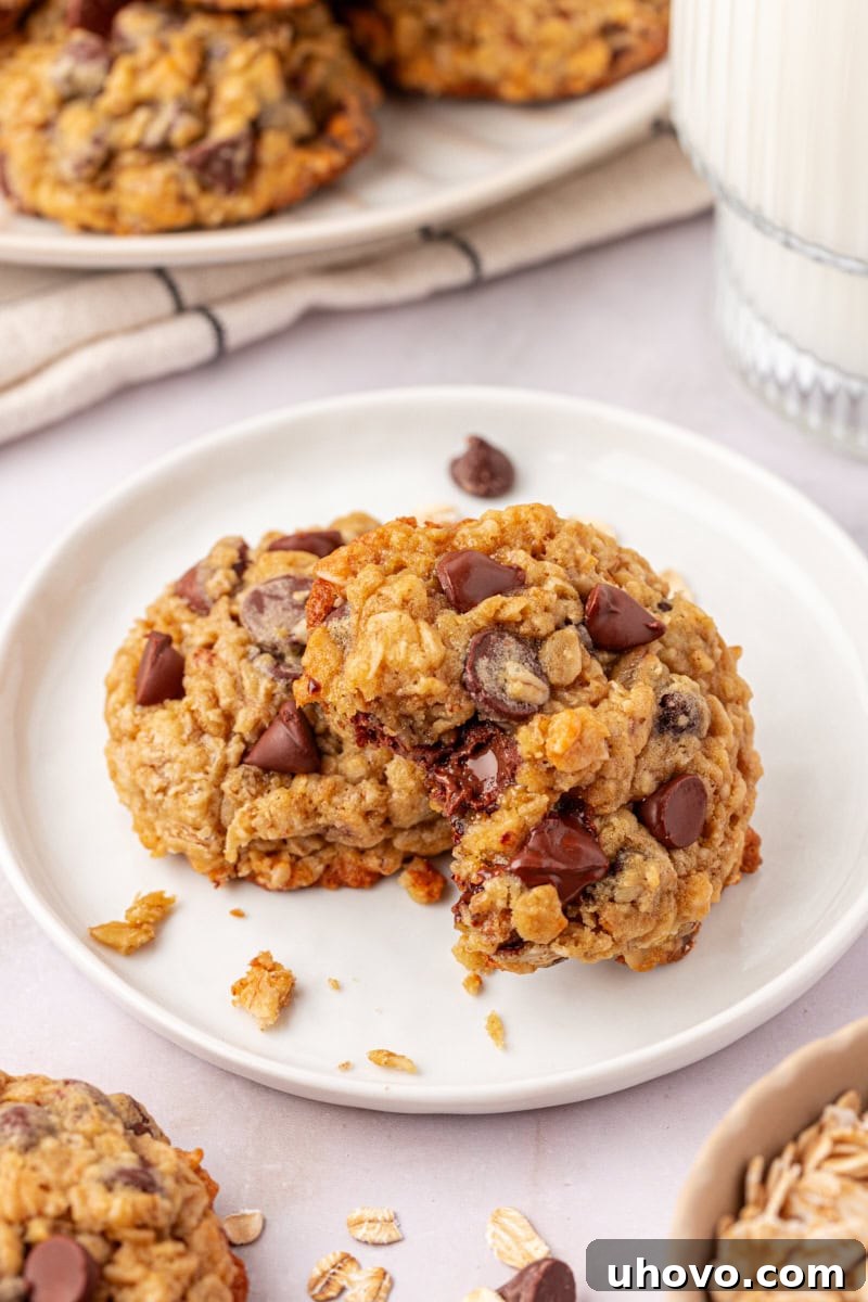 Two soft and chewy brown sugar oatmeal chocolate chip cookies placed on a white plate, with several more cookies surrounding them, creating an inviting display.