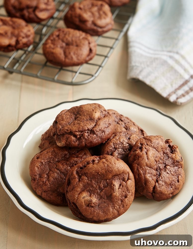A pile of rich Irish Cream Brownie Cookies on a black-rimmed white plate, ready for serving.