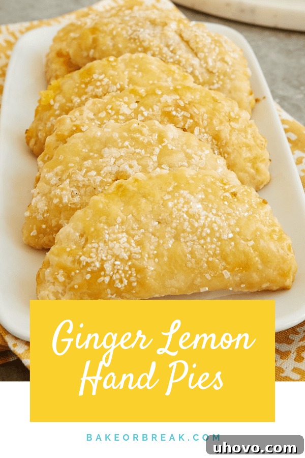 Ginger Lemon Hand Pies bakeorbreak