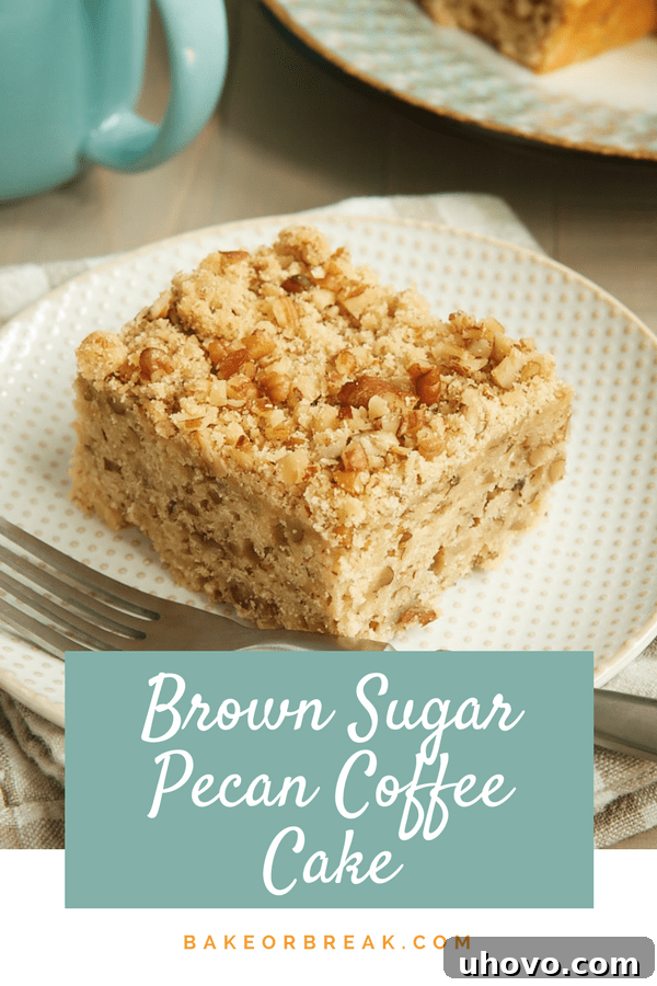 Full Brown Sugar Pecan Coffee Cake bakeorbreak.com