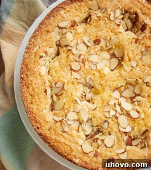 Lemon Almond Butter Cake, showcasing its delightful texture and topping.