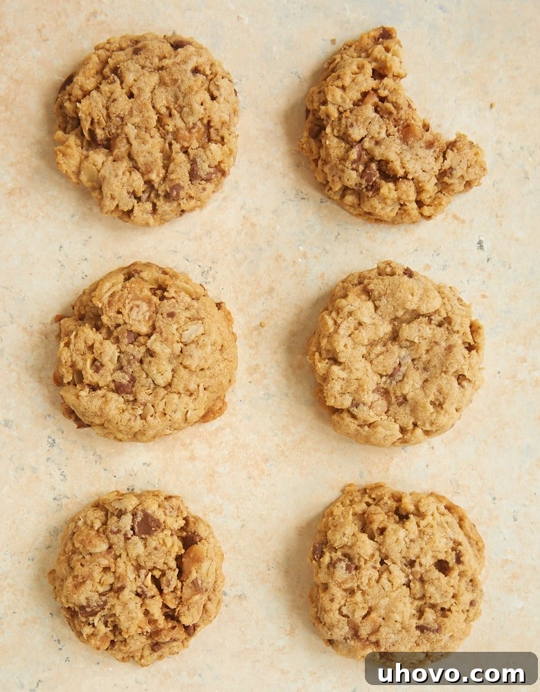 A single Peanut Butter Toffee Oatmeal Cookie resting on a light-colored surface, revealing its rustic charm and inviting texture.