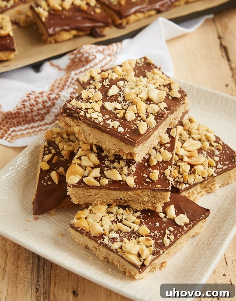 Chocolate peanut butter shortbread cookies topped with crunchy peanuts, ready to be enjoyed.