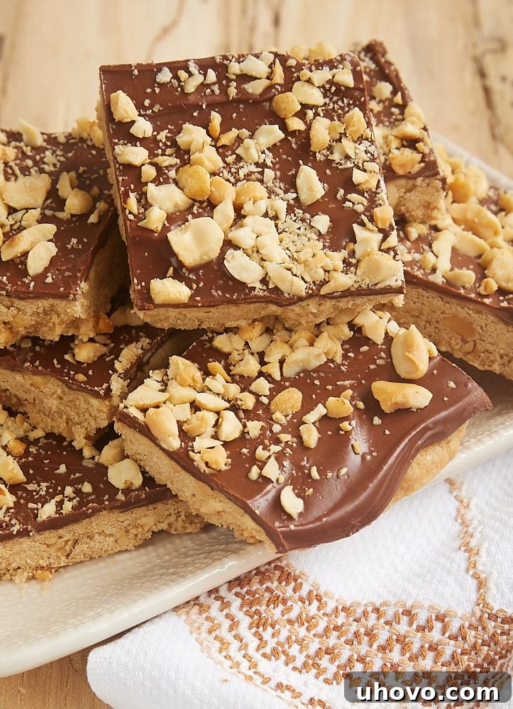 Homemade chocolate peanut butter shortbread bars, freshly topped with peanuts.