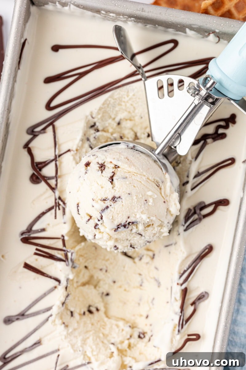 overhead view of stracciatella ice cream in an ice cream scoop resting on the remaining ice cream