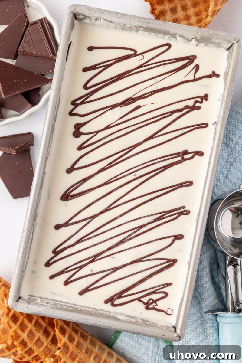 overhead view of stracciatella ice cream in a metal loaf pan
