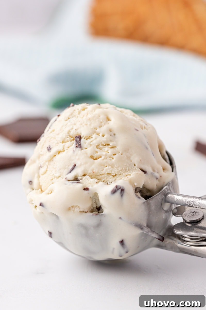 stracciatella ice cream in an ice cream scoop