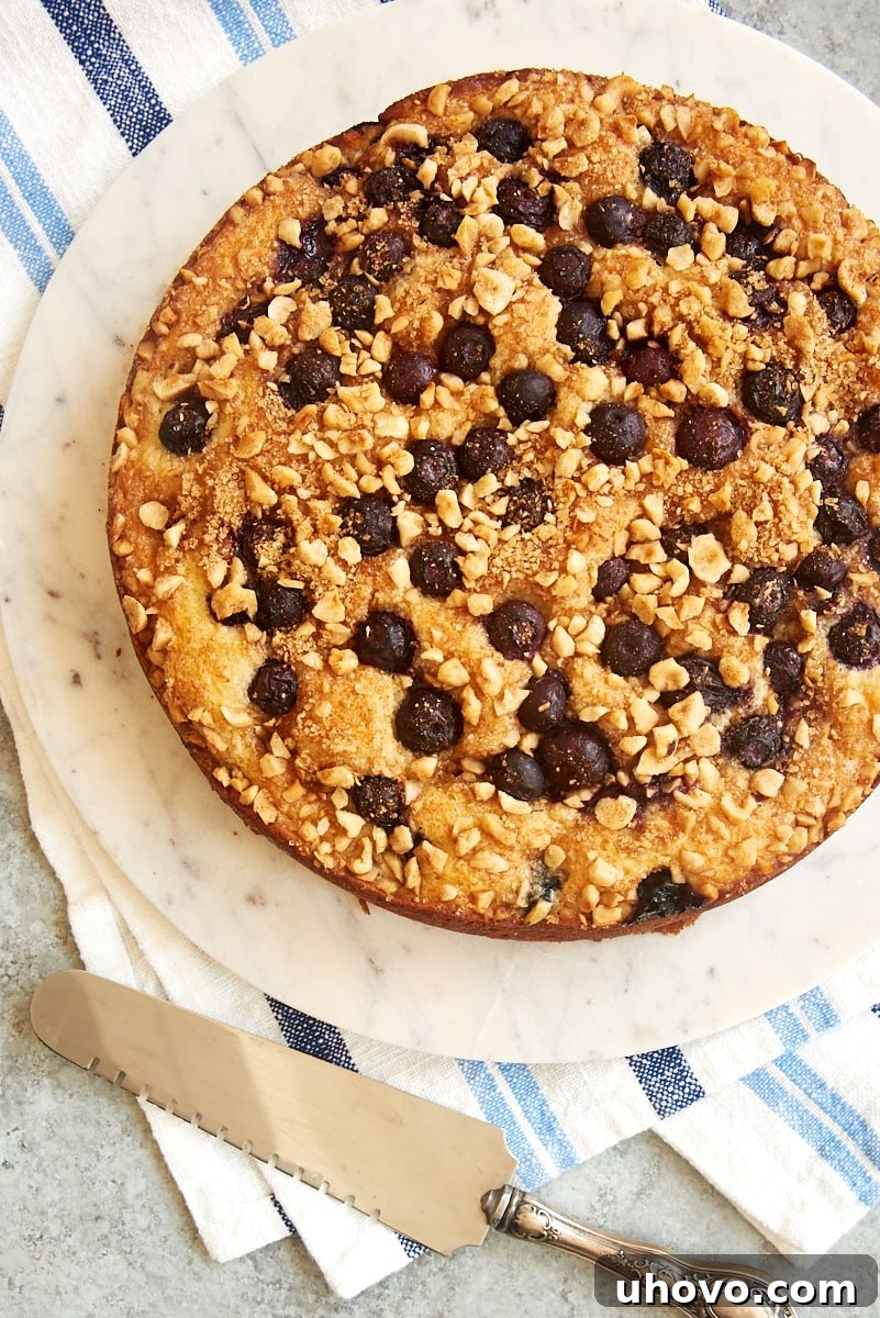 An inviting overhead view of a freshly baked Blueberry Coffee Cake, still warm on a pristine marble cake plate. The golden crust, jewel-toned blueberries, and crunchy streusel topping are prominently featured, showcasing its artisanal quality and making it an appealing centerpiece for any occasion.