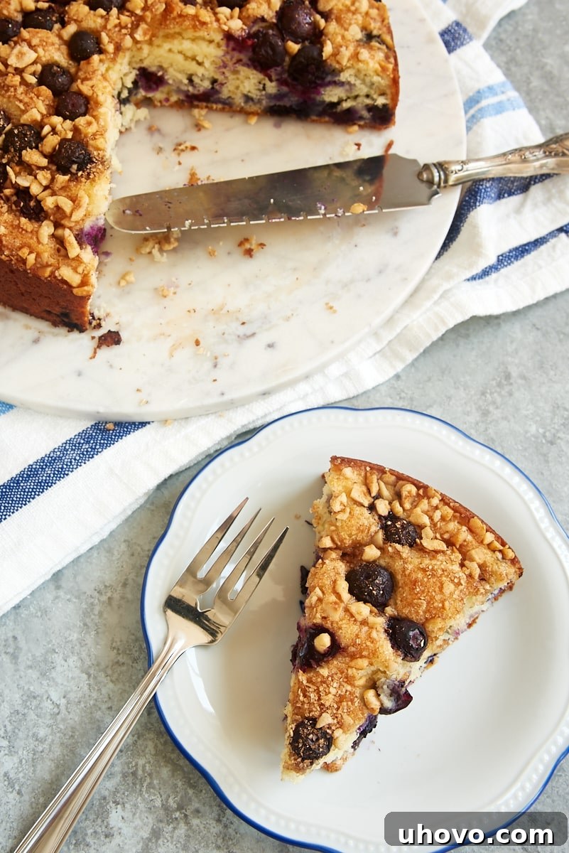 An inviting overhead view of a slice of Blueberry Coffee Cake, with its delicate, moist crumb and visible blueberries, presented on a blue-rimmed white plate. The remaining cake, adorned with its crunchy hazelnut and cinnamon topping, is visible alongside, tempting viewers with its homemade charm.