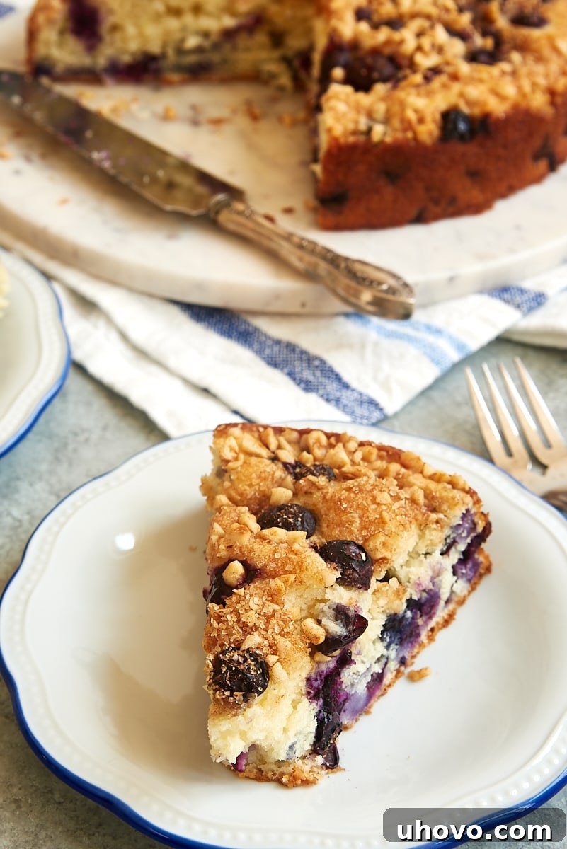A perfectly portioned slice of Blueberry Coffee Cake, showcasing its light, airy texture and generous scattering of blueberries, sits invitingly on a simple white plate. The image emphasizes the cake's elegant simplicity and delicious appeal, ready to be enjoyed.