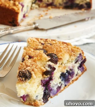 A close-up shot of a perfect slice of Blueberry Coffee Cake on a blue-rimmed white plate, showcasing the cake's tender crumb and a generous amount of blueberries, with the signature crunchy topping.