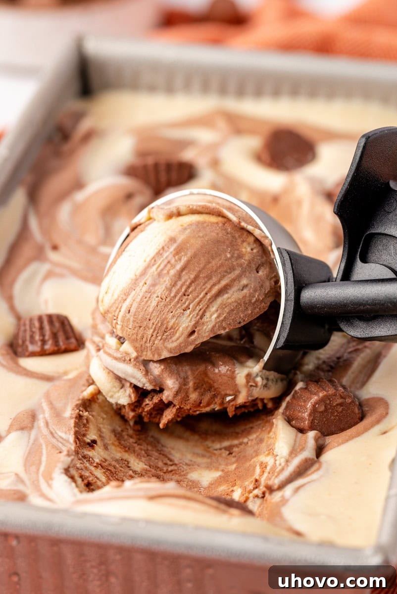 A perfectly scooped ball of no-churn chocolate peanut butter ice cream rests elegantly on an ice cream scoop, positioned over the remaining swirled ice cream in a metal loaf pan, inviting a taste.