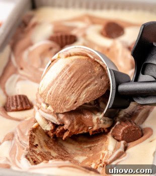 No-Churn Chocolate Peanut Butter Ice Cream in an ice cream scoop resting on the remaining ice cream in a metal loaf pan