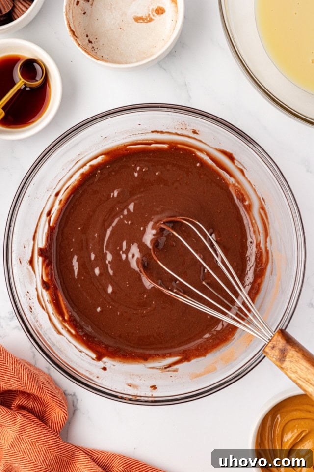 A close-up, overhead view of the smooth, rich chocolate ice cream base thoroughly mixed in a glass bowl, showcasing its uniform color and creamy texture.
