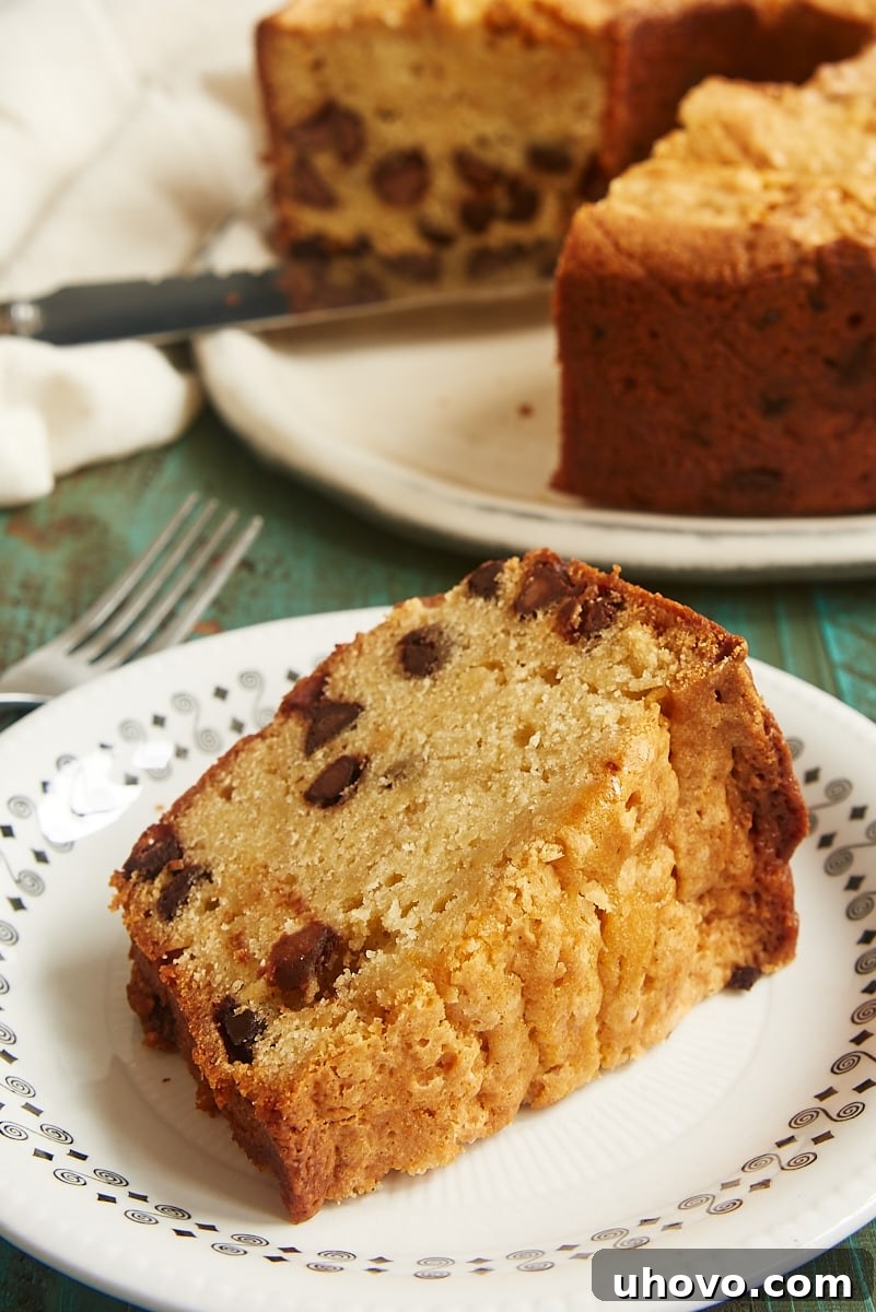 A generous slice of moist Chocolate Chip Cream Cheese Pound Cake on a sleek black-rimmed white plate, showcasing its dense texture and abundant, perfectly melted chocolate chips.