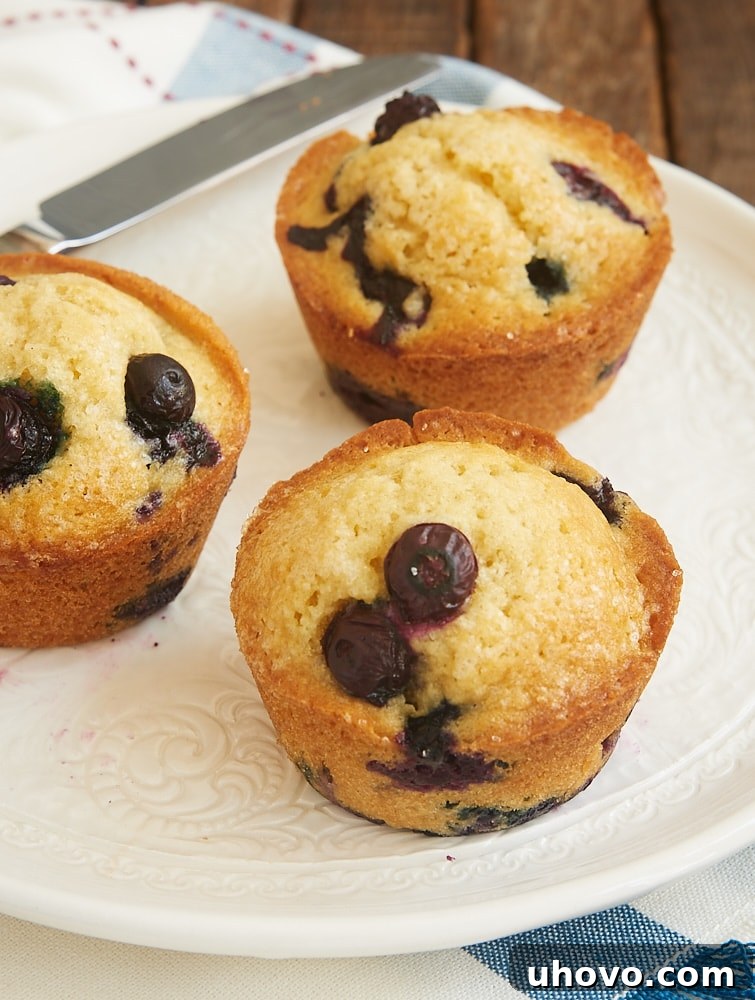 Close-up of quick and easy blueberry muffins on a white plate, showcasing their fluffy texture and abundance of blueberries
