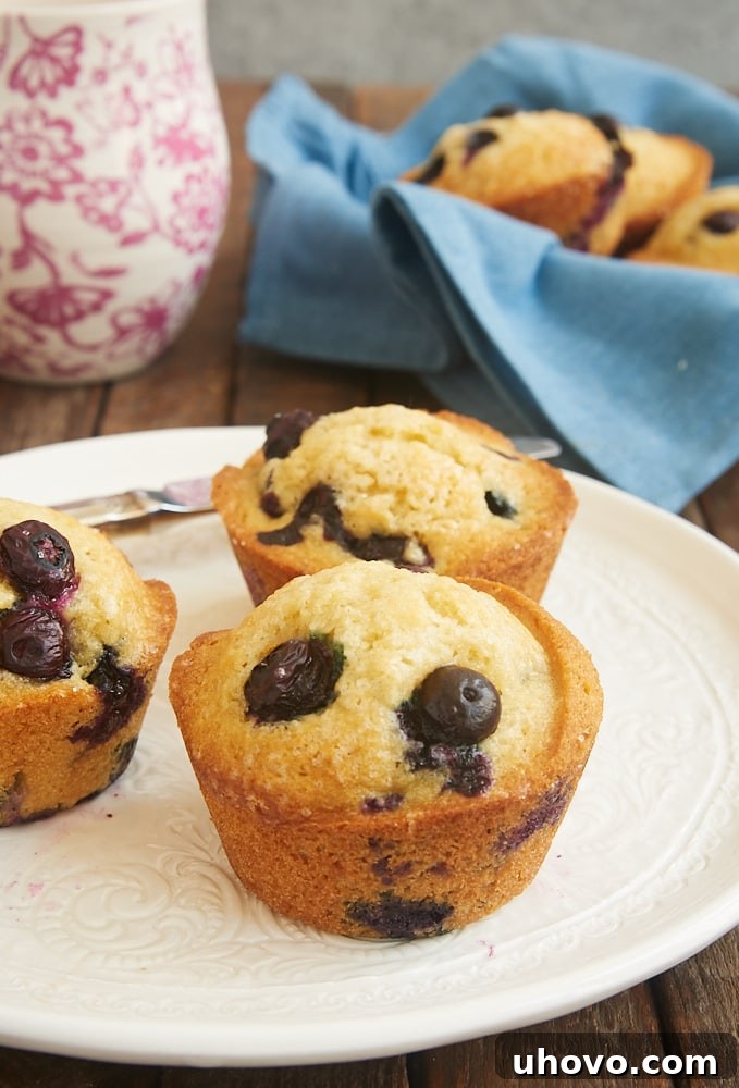 Three golden-brown blueberry muffins on a white plate, with more muffins in a rustic basket in the background