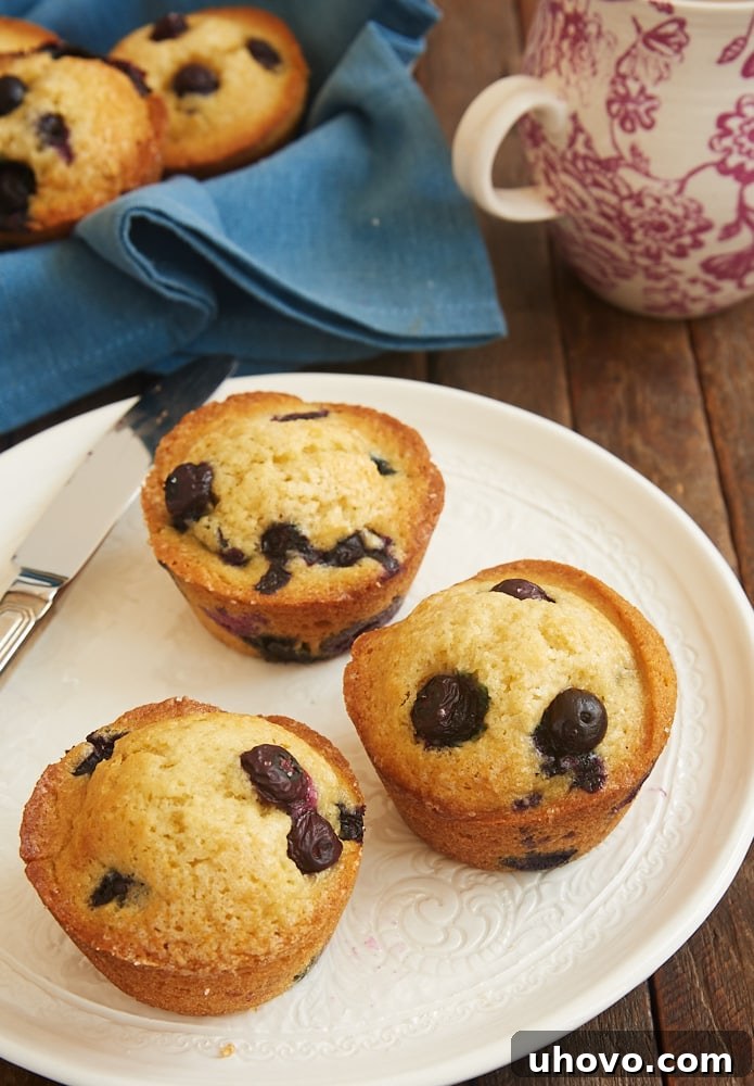 Quick and Easy Blueberry Muffins served on a white plate, showcasing their perfect bake and delicious appearance