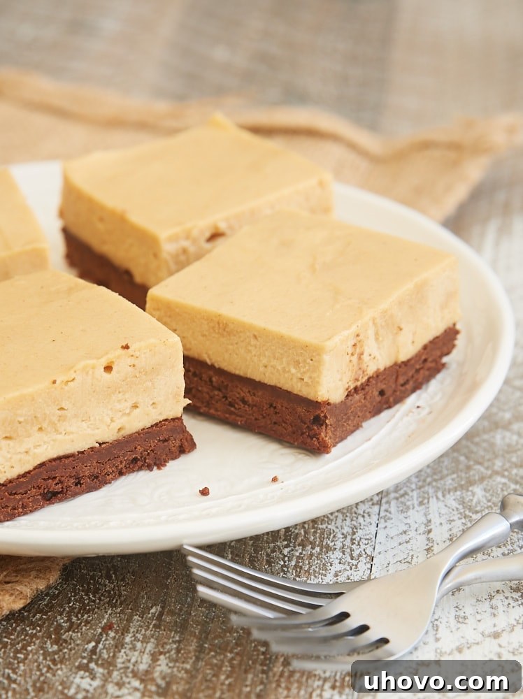 Delicious slices of Brownie Bottom Peanut Butter Pie Bars, showcasing rich chocolate and creamy peanut butter layers on a white plate