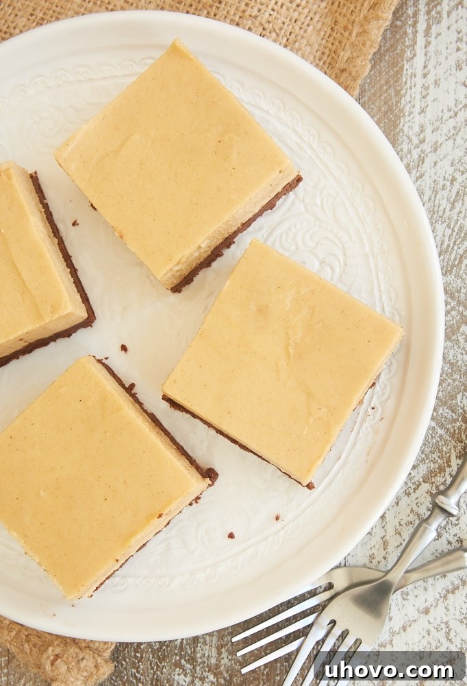 Overhead view of several cut slices of Brownie Bottom Peanut Butter Pie Bars arranged on a white serving plate