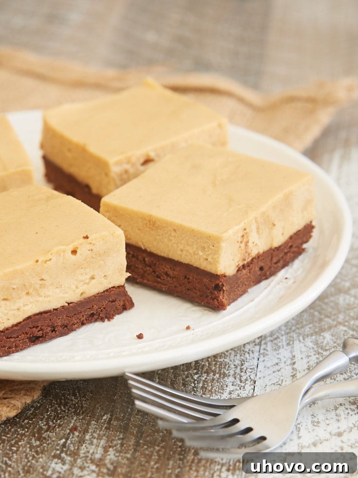 Brownie Bottom Peanut Butter Pie Bars, ready to be served