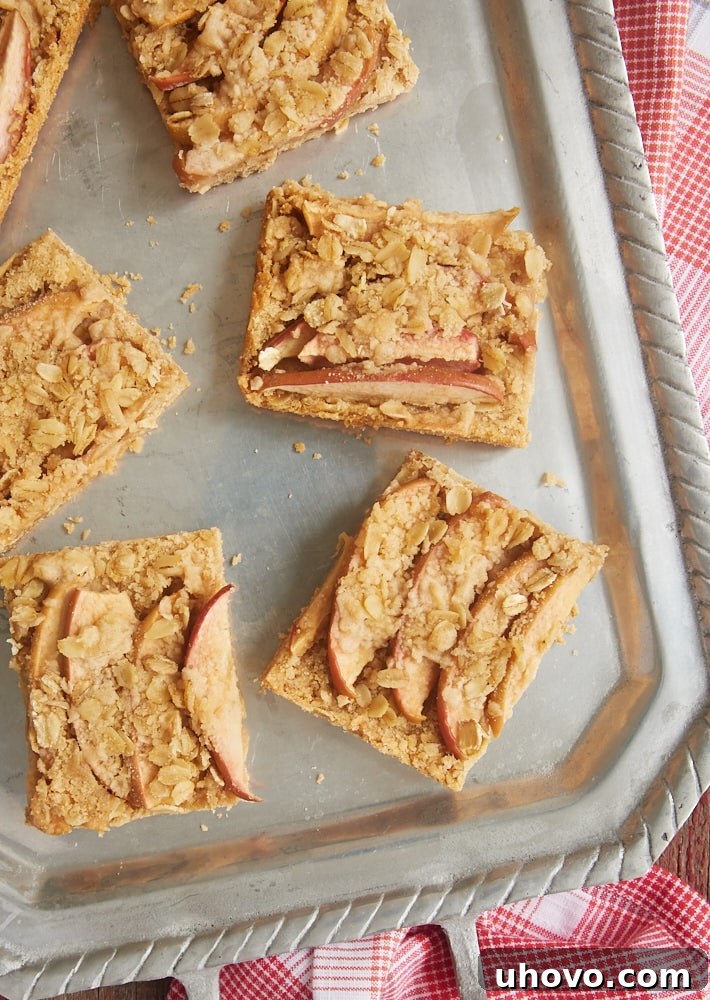 overhead view of Apple Cinnamon Crumb Bars served on a pewter tray