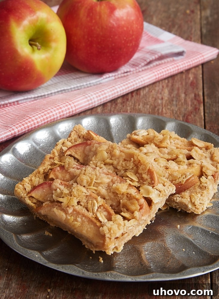 Apples and cinnamon are a match made in dessert heaven. Enjoy that delicious pair in these quick and easy Apple Cinnamon Crumb Bars! - Bake or Break