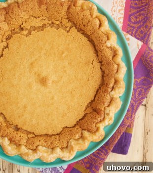 A delicious Peanut Butter Chess Pie in a pie plate, ready to be served, highlighting its golden crust and creamy filling.