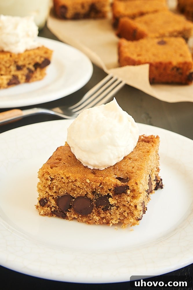 Chocolate Chip Graham Cracker Snack Cake on a white plate