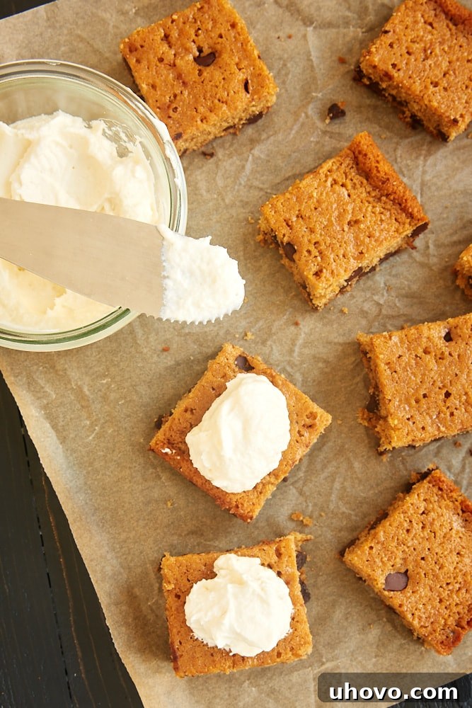 slices of Chocolate Chip Graham Cracker Snack Cake on parchment paper