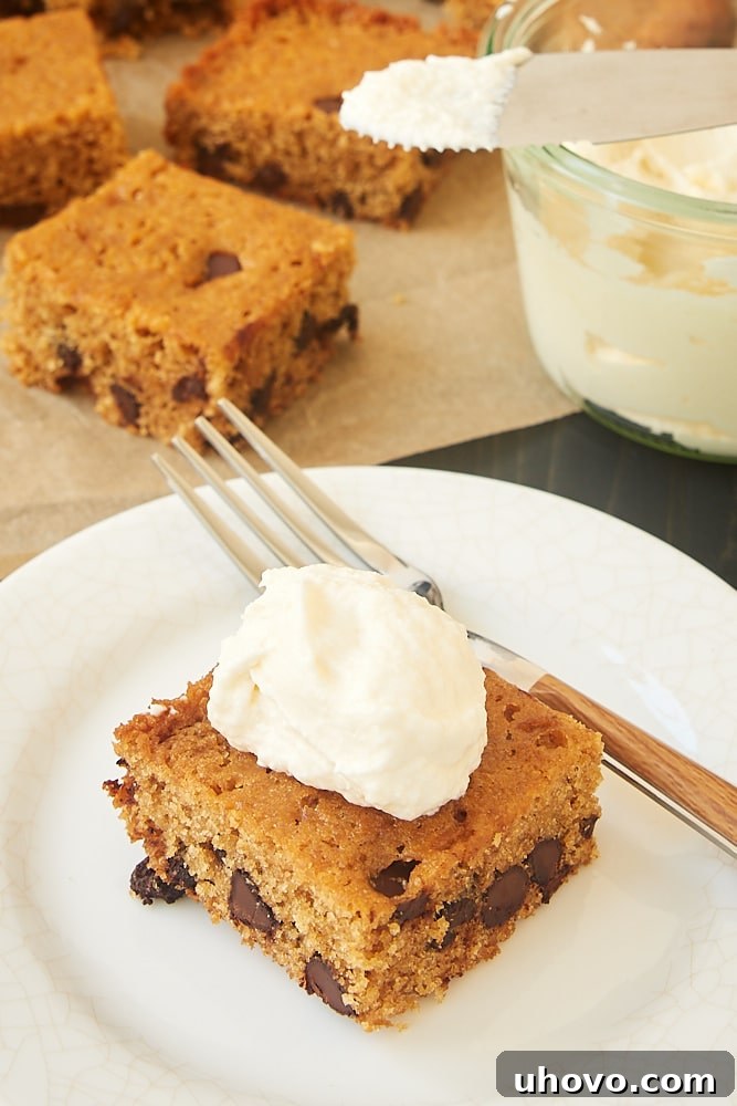 slice of Chocolate Chip Graham Cracker Snack Cake on a white plate