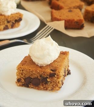 If you love the flavors of S'mores, then you must try this Chocolate Chip Graham Cracker Snack Cake. The simple cake is made with plenty of graham cracker crumbs and chocolate chips, and it's topped with a sweet marshmallow frosting. - Bake or Break