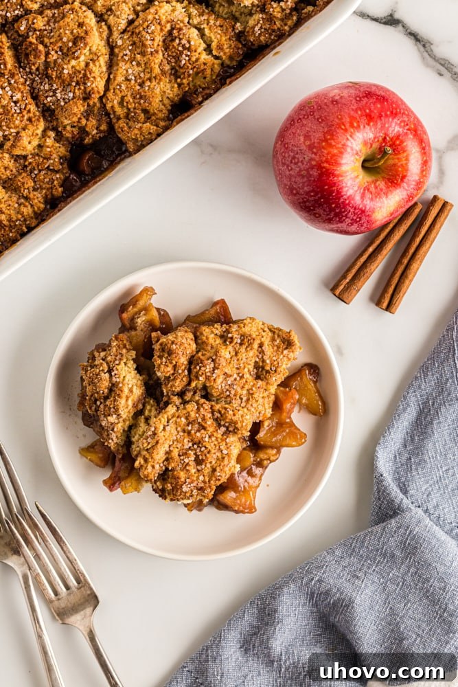 An overhead shot of a luscious Brown Sugar Apple Cobbler, served on a white plate, surrounded by whole apples, cinnamon sticks, and the remaining cobbler in its dish. A perfect fall dessert.